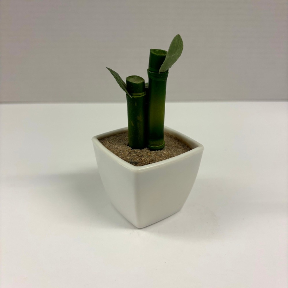 Greenbrier International Faux Bamboo Plant in White Pot 4.5" Desk Decor Mini